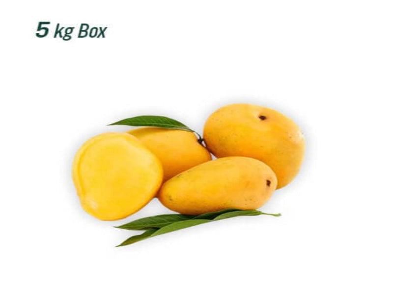 anwar ratol mango