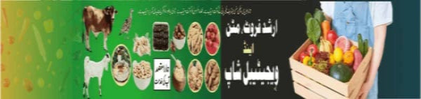 Exporter_foods_grocery_store