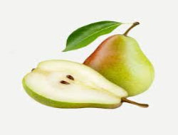 Fresh Pear (Nashpati) China 