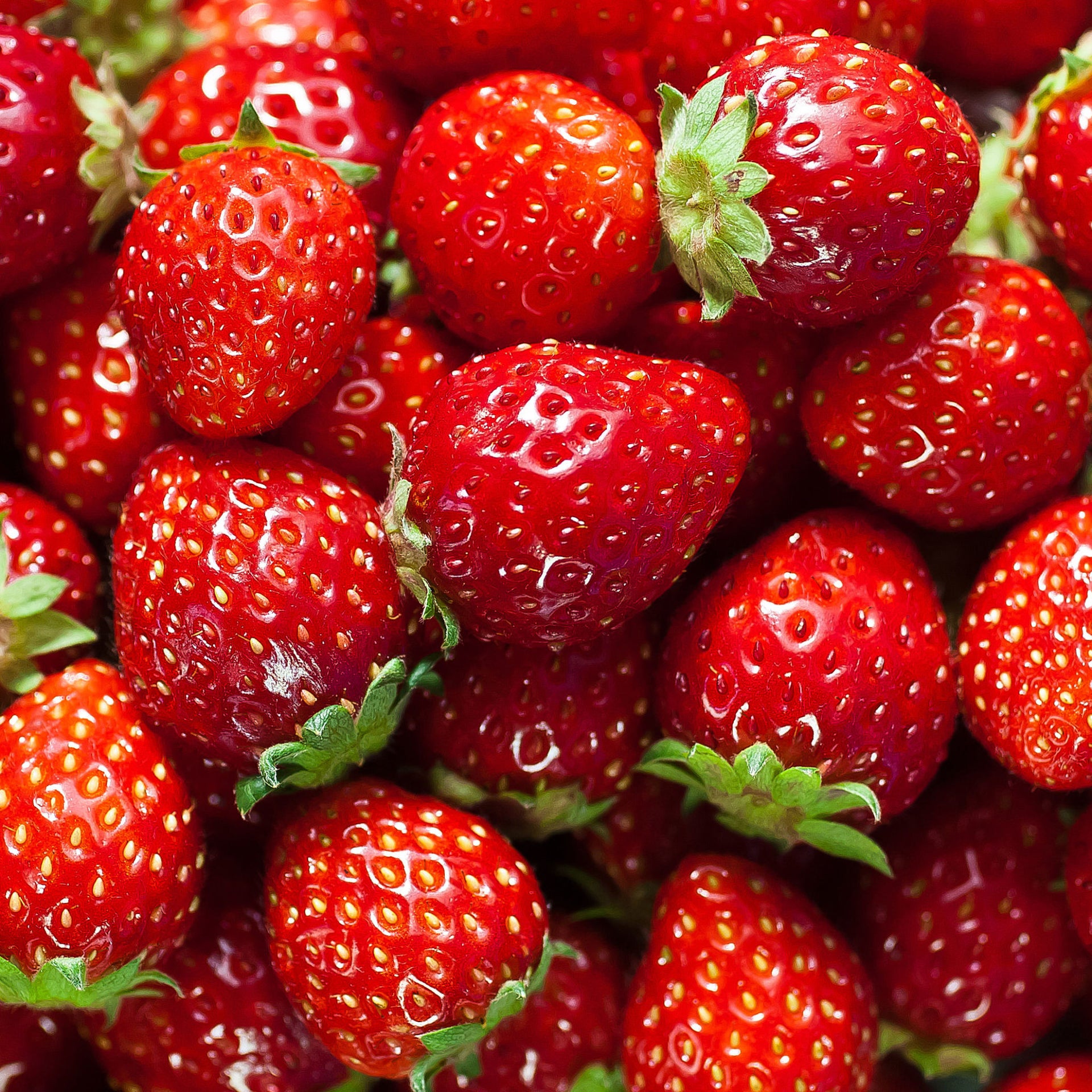 Fresh Strawberries – Sweet, Juicy & Delicious