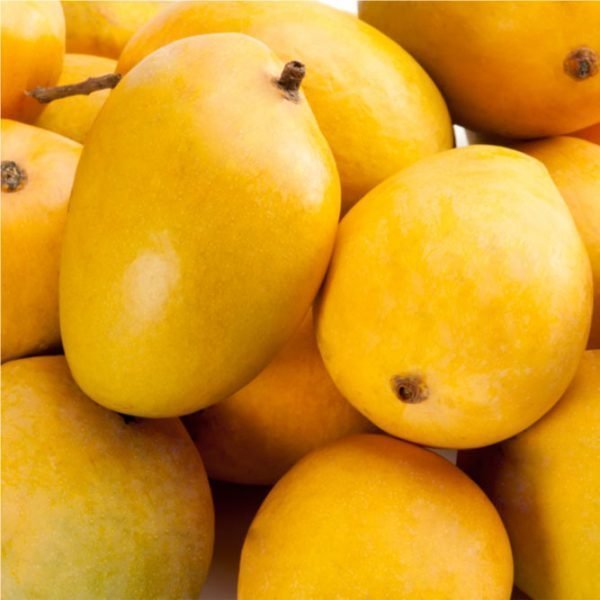 Anwar Ratol Mangoes - Exporter Foods