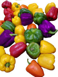 Mix Capsicum (Shimla Mirch)