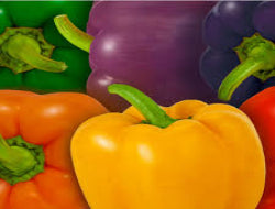 Mix Capsicum (Shimla Mirch)