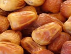 Sukari Dates - Exporter Foods