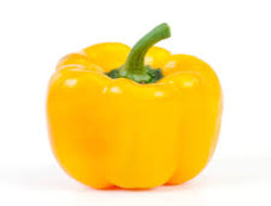 Yellow Capsicum (Shimla Mirch) 
