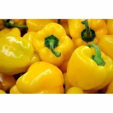 Yellow Capsicum (Shimla Mirch)1kg - Exporter Foods