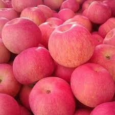 Red Apple China - Exporter Foods