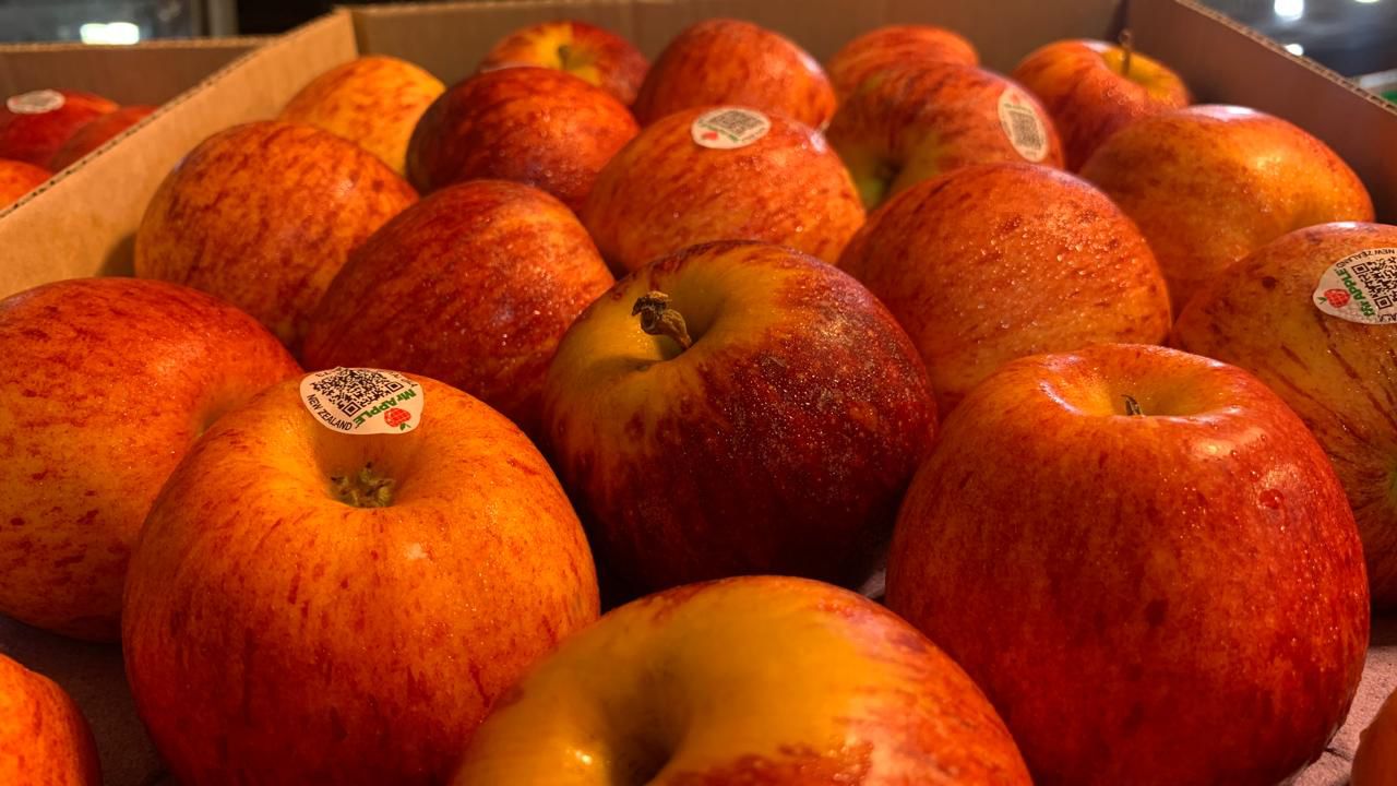 Red Apple China - Exporter Foods